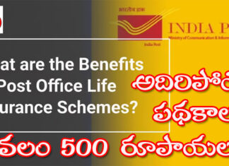 సామాన్యులకు వరం: పోస్టల్లో అదిరిపోయే బీమా పథకాలు